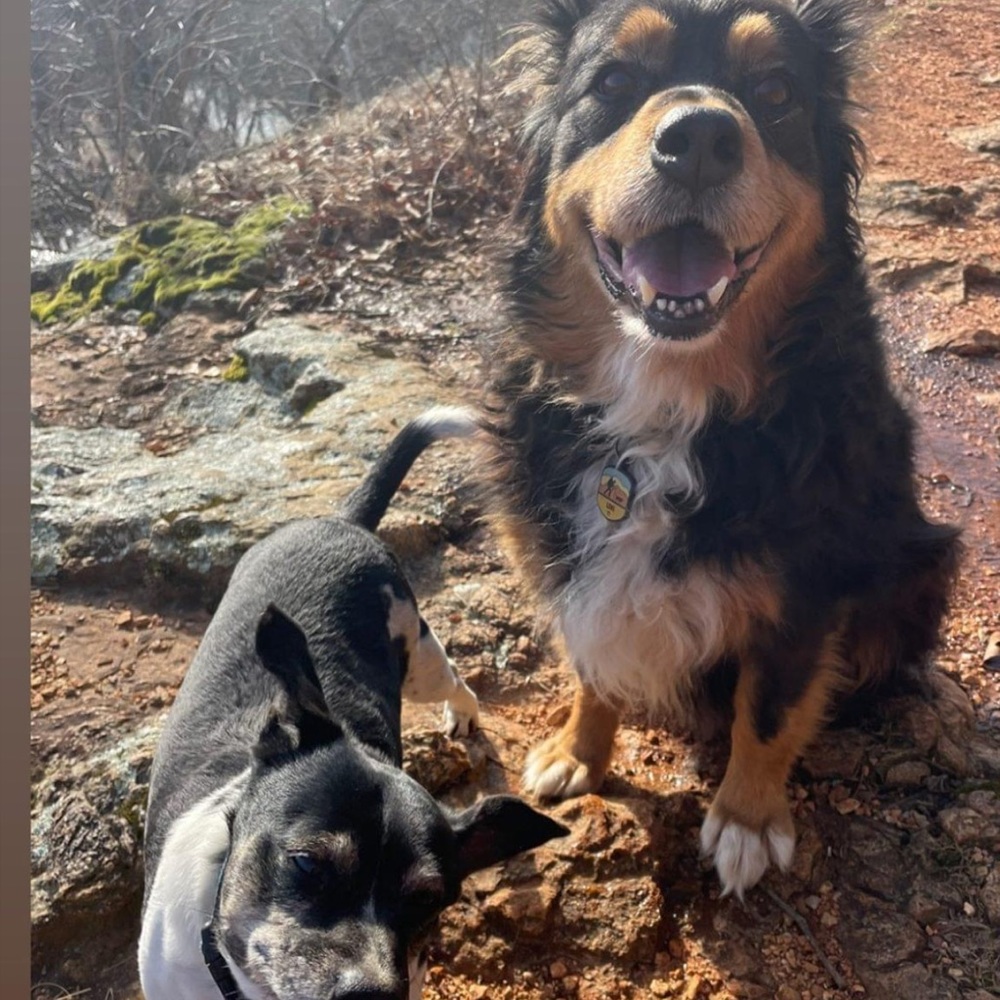 Meet your Posher, Jesse